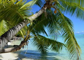 Croisière Rêve des îles