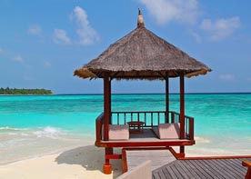 Plongeon à Bora-Bora