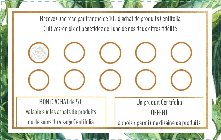 centifolia fidelite verso